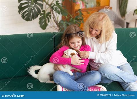 Happy Granddaughter And Grandmother Sitting On Sofa With Jack Russell