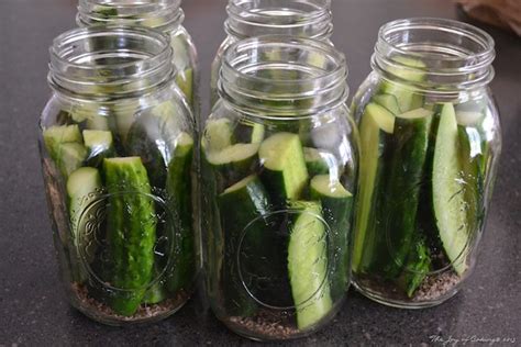 Cornichons Marinés à Lancienne de Nos Grands Mères