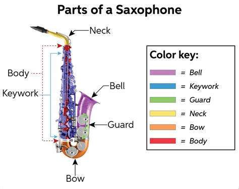 Saxophone Buying Guide - How to Choose a Saxophone