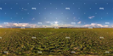 360 View Of 360 Hdri Panorama View Among Farming Fields With Sun With