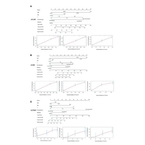 A Nomogram For The Prediction Of And Year Os Rates And The