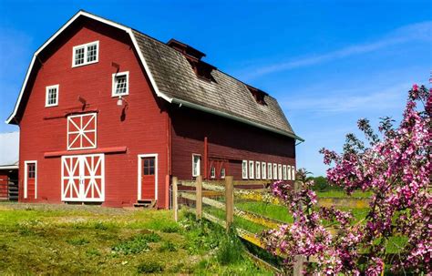 Everything About Gambrel Roofs (Types, Advantages & More) | Upgradedhome.com