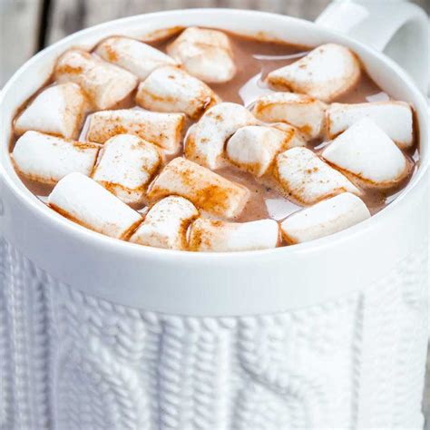 Easy DIY Dairy Free Hot Cocoa Mix Or Packets Laura Fuentes