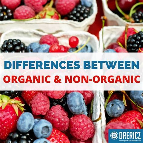 Understanding Organic Vs Non Organic Food Labels And Differences