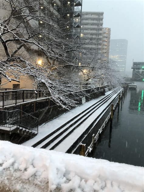 First Snow in Tokyo ️ : r/Tokyo