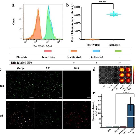 In Vitro Assessment Of Thrombus Targeting Capabilities Of Plt Ppy Riv