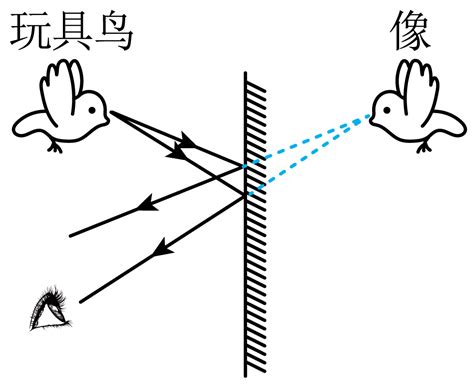 如图所示，在“探究平面镜成像的特点”实验中。下列说法正确的是（