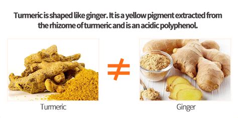 Halal Kosher Certificate Turmeric Curcumin Curcumin Buy Curcumin