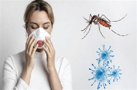 National Dengue Day 2022 जानिए डेंगू के लक्षण और बचाव के उपाय Why