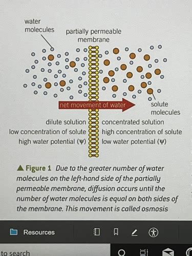 Osmosis Flashcards Quizlet