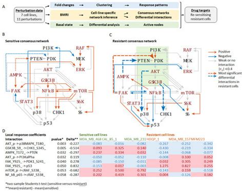 Jpm Free Full Text A Systems Biology Approach To Investigate Kinase