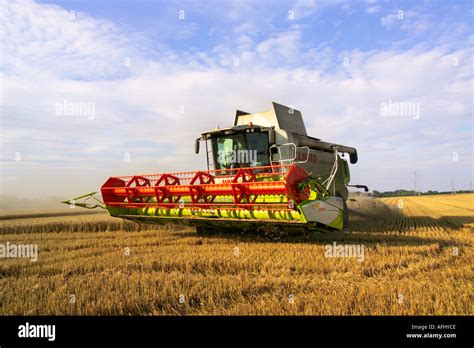 Harvesting The Wheat Claas Lexion Terra Trac Combine Harvester