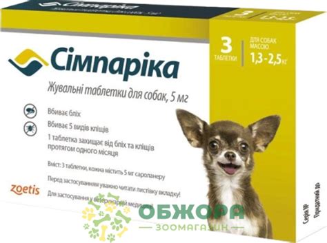 Зоомагазин Обжора – магазин товарів для домашніх улюбленців