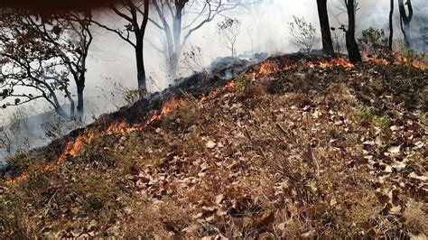 Se Han Presentado 117 Incendios Forestales En Jalisco Durante El 2021