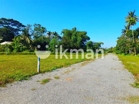 Land For Sale Piliyandala Kahathuduwa Ikman