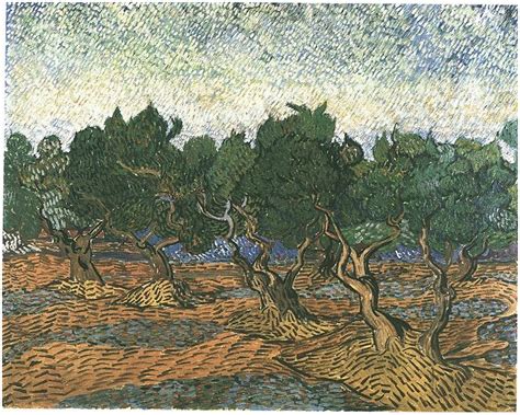 Olive Grove By Vincent Van Gogh Painting