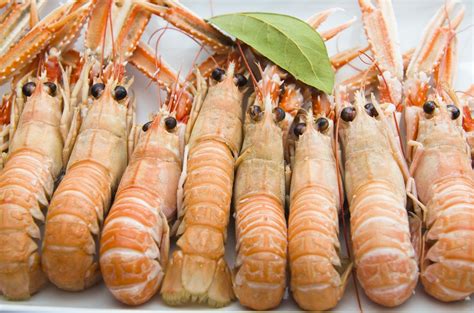 Mazzancolle E Scampi Quali Sono Le Differenze Agrodolce