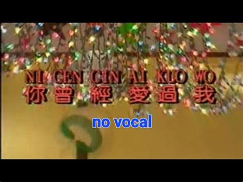 Ni Ceng Jing Ai Guo Wo Karaoke Xiao Hei Youtube