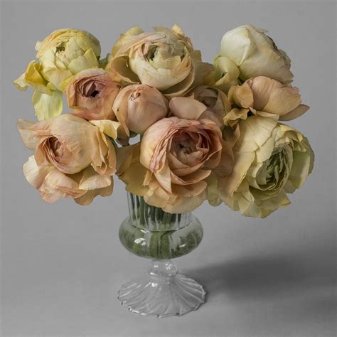 Peach Ranunculus Bouquet