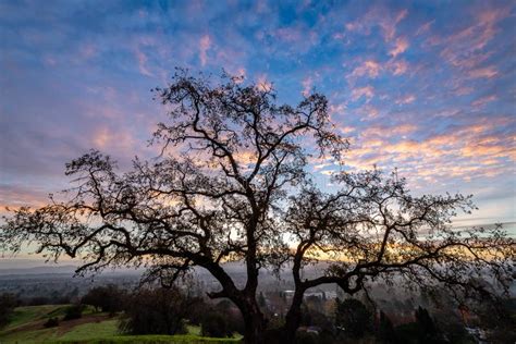 Sunrise Over Mount Diablo and the East Bay Stock Photo - Image of ...