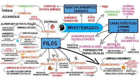 Mapa Mental Animais Invertebrados FDPLEARN