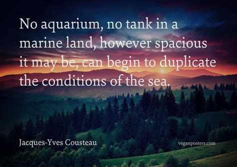 aquarium  tank   marine vegan posters