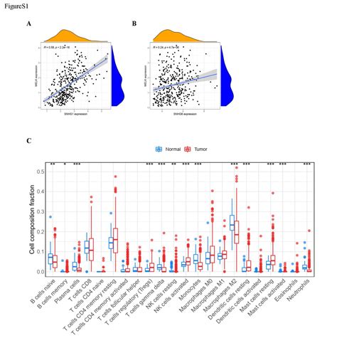 Comprehensive Analyses Of Melk Associated Cerna Networks Reveal A