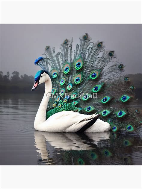 Thats Impossible Peacock Swan Sticker For Sale By Gmxtrackmad Redbubble