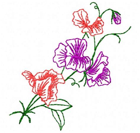 Sweet Pea Flower Embroidery Design Instant Download - Etsy