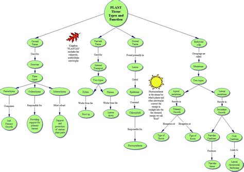 Concept Map