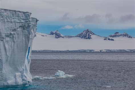 Antarctica Elephant Island Weddell Sea Polar Circle Pla