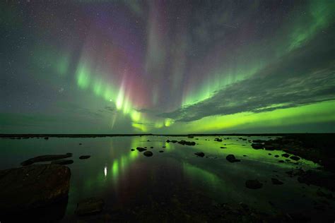 Polar Bears And Northern Lights Safari Thornhill Expeditions