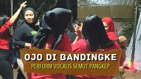 Ojo Di Bandingke Live Cover Perform Vocalis Semut Pangkep Youtube