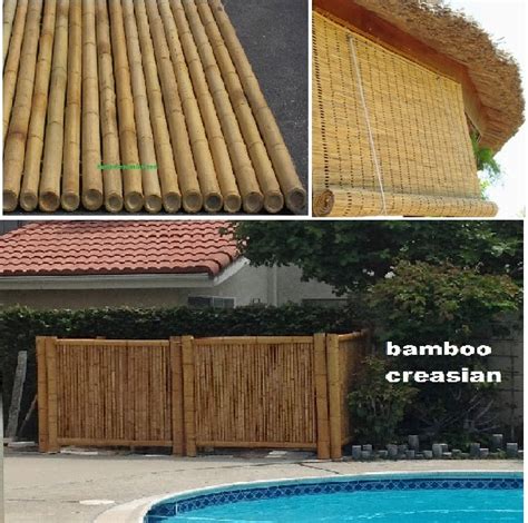 Quality Bamboo And Asian Thatch Bamboo Canes Fencing Natural Color3