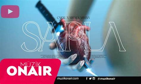cakal arem ozguc arman aydin sapla yayinda