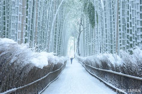 Khám phá vẻ đẹp tiềm ẩn của núi Arashiyama tỉnh Kyoto Nhật Bản