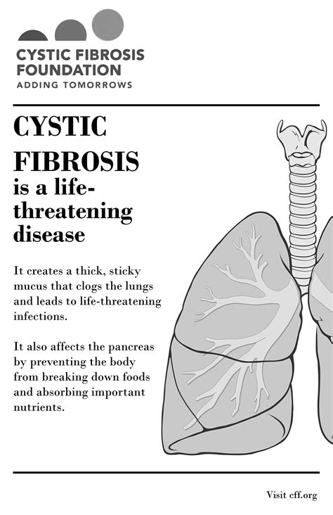 Cystic Fibrosis Foundation Portfolio On Behance