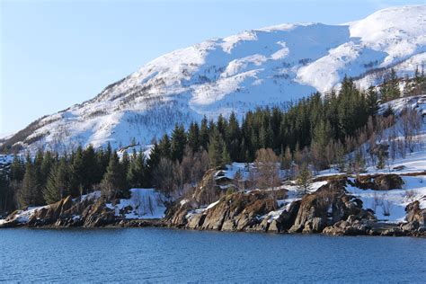 Scandinavia Snow Mountain Europe Landscape Water Pine Tree