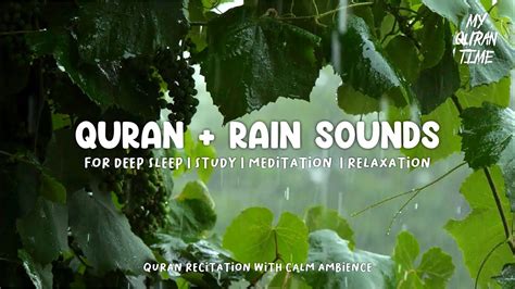 Fall Asleep Quickly In 3 Minutes With Quran Recitation And Heavy Rain