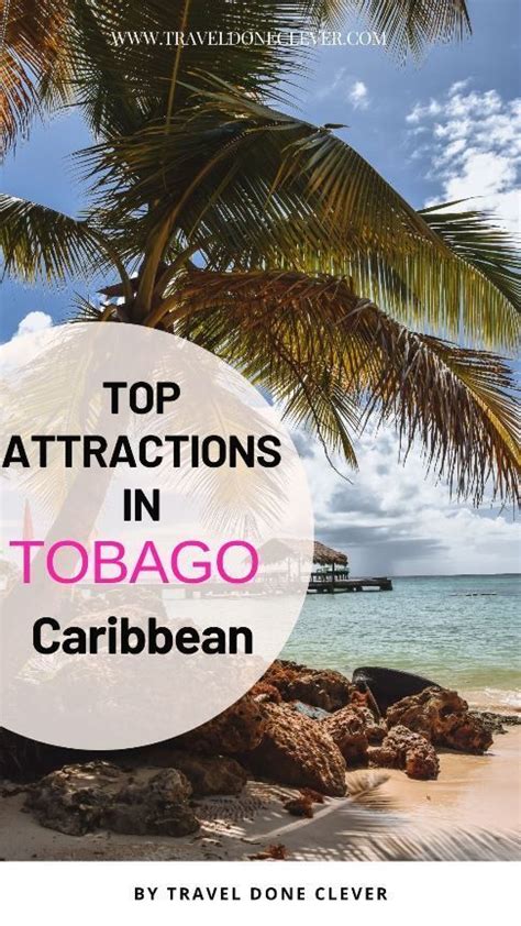 19 Of The Best Things To Do In Tobago Artofit