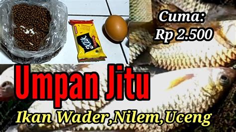 Tutorial Umpan Jitu Ikan Wader Nilem Uceng Murah Meriah Di Jamin