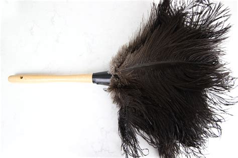 How To Properly Use A Feather Duster The Creek Line House