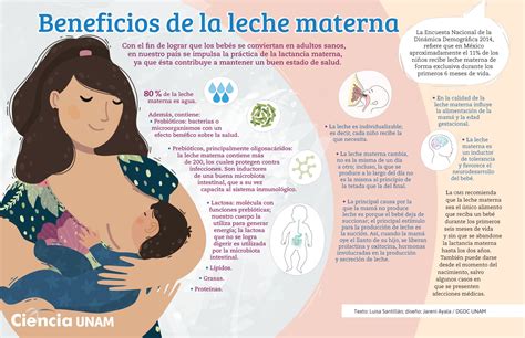 Infograf A Leche Materna El Alimento Ideal Ciencia Unam Leche