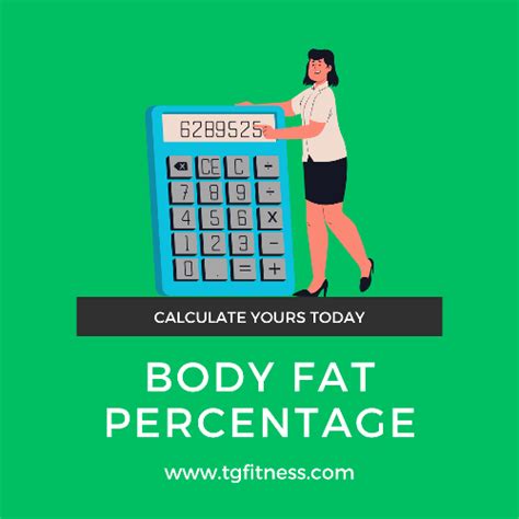 Body Fat Percentage Calculator