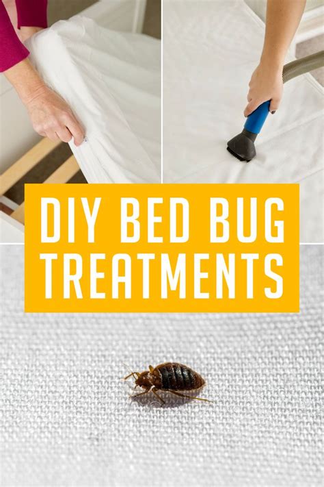 How To Get Rid Of Bed Bugs And Other Crucial Bed Bug Tips In 2023 Bed Bugs Rid Of Bed Bugs