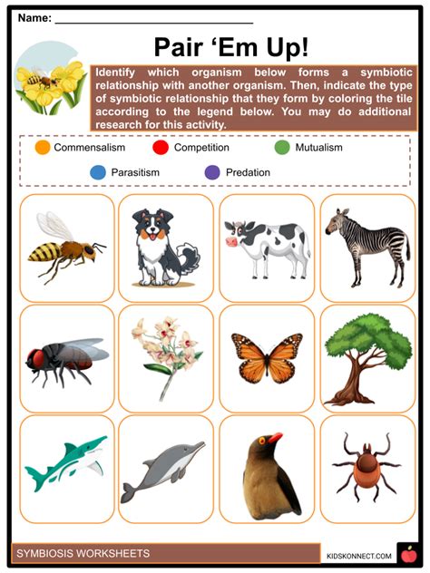 Symbiotic Relationships Worksheet Review