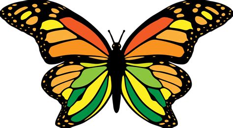 Butterfly Png Graphic Clipart Design 19045555 Png