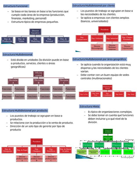 SOLUTION Organigramas Studypool