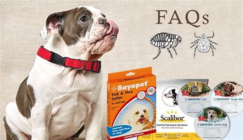 FAQs : Flea And Tick Collars - CanadaPetCare Blog