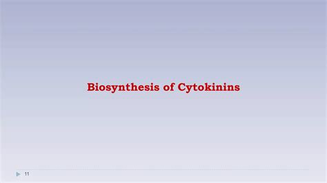 Cytokinis Biosynthesis And Transduction Ppt